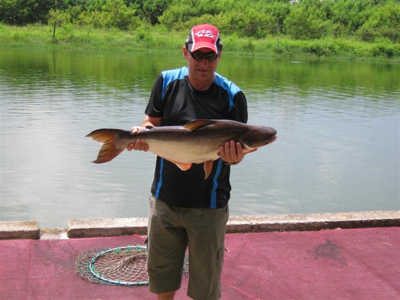 Pond fishing Pattaya Thailand Fishing Fishing WA